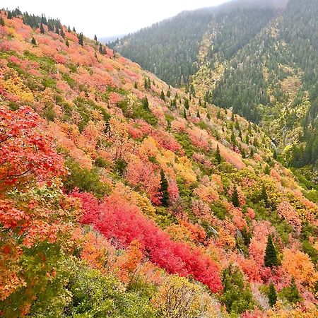 Cottonwood Heights - Lower Level Of Mountain Home! Экстерьер фото